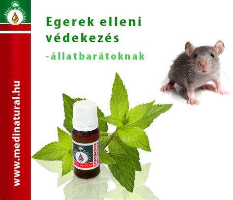 illóolaj egér ellen